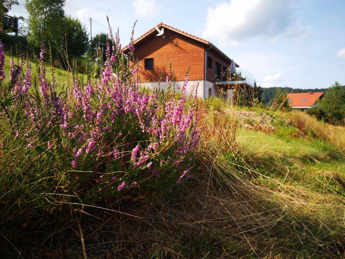 Chalet A L'Oree Du Bois Le Tholy Exteriör bild